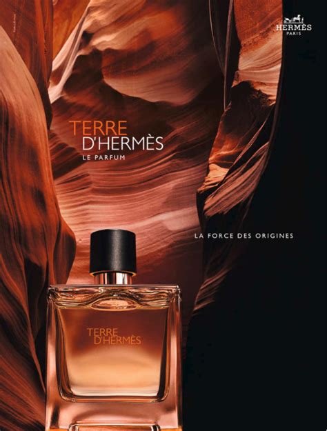 hermes perfume aesthetic